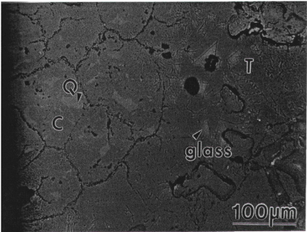 The Microstructure of Silica Brick